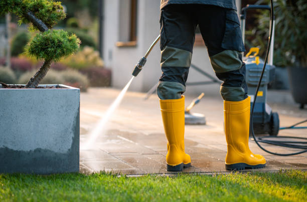 Best House Pressure Washing  in Zion, PA